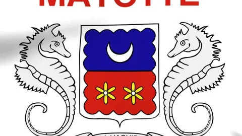 Heraldic emblem of mayotte featuring two seahorses and a shield with a cres.. 스톡 동영상 346545804