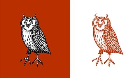 Heraldic long eared owl or eagle owl for coat of arms design and shield. Hand Stock Illustration