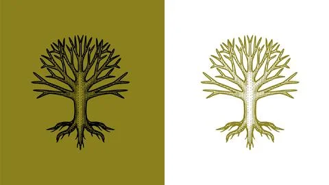 Heraldic oak tree with roots for coat of arms design and shield. Hand drawn Stock Illustration