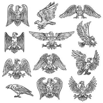 Heraldic sketch gothic eagle hawk icons Stock Illustration