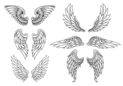 Heraldic wings set Illustrazione stock
