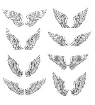 Heraldic wings set Illustrazione stock