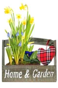 Heralds of spring Stock Photos