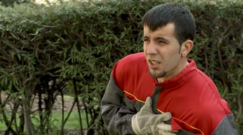 Herat Attack Stock Footage 33819462