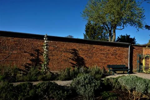 Herb and kitchen garden surrounded by typical red brick wall Stock Photos