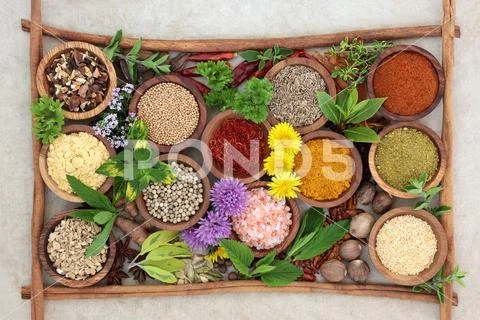 Herb and Spice Seasoning Stock Photos