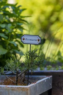 Herb bed Stock Photos