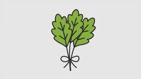 Herb bunch animation Vídeo Stock 318053741
