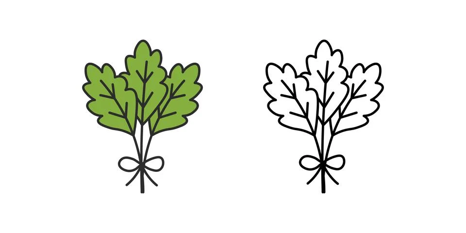 Herb bunch Illustrazione stock
