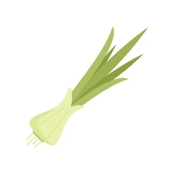 Herb chive icon flat vector. Chinese garlic Stock Illustration