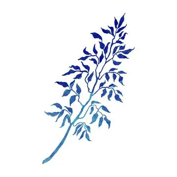 Herb Colorful Illustration Illustrazione stock