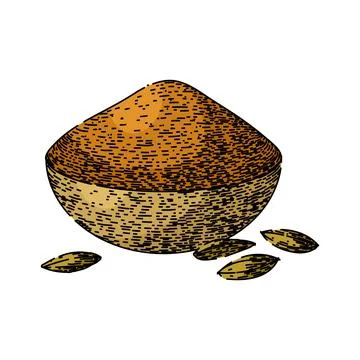 Herb cumin sketch hand drawn vector Illustrazione stock