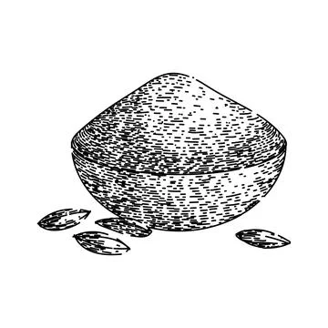 Herb cumin sketch hand drawn vector Stock Illustration