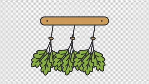 Herb drying rack animation Vídeos de archivo 318633502