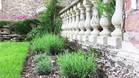 Herb garden Stock Footage 72374920