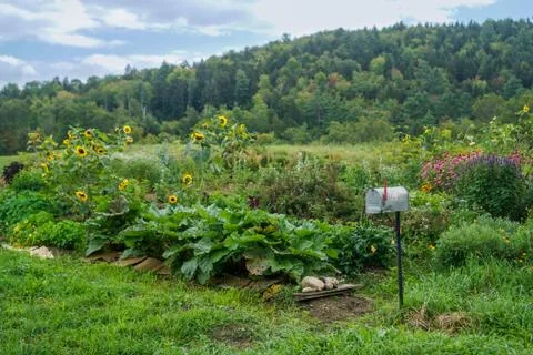 Herb Garden Stock Photos