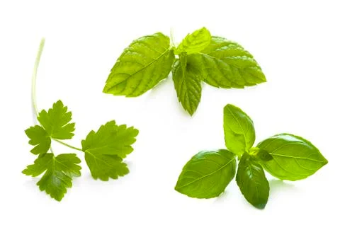 Herb garnish isolated Stock Photos