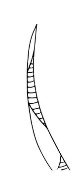 Herb. Hand drawn vector herb in doodle style outline Stock Illustration