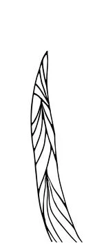 Herb. Hand drawn vector herb in doodle style outline Illustrazione stock