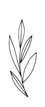 Herb. Hand drawn vector herb in doodle style outline Stock Illustration