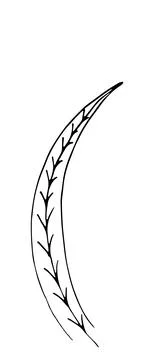 Herb. Hand drawn vector herb in doodle style outline Illustrazione stock