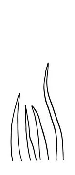 Herb. Hand drawn vector herb in doodle style outline Stock-Illustration