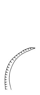 Herb. Hand drawn vector herb in doodle style outline Stock Illustration