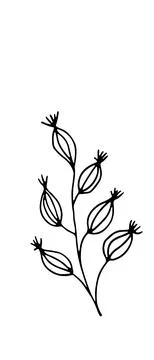 Herb. Hand drawn vector herb in doodle style outline Stock Illustration