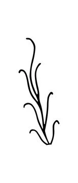 Herb. Hand drawn vector herb in doodle style outline Stock Illustration