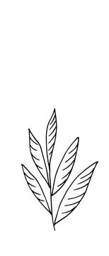 Herb. Hand drawn vector herb in doodle style outline Stock Illustration