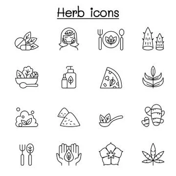 Herb icon set in thin line style 스톡 일러스트