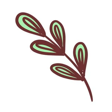 Herb isolated on white background.Doodle vector illustration Stock Illustration