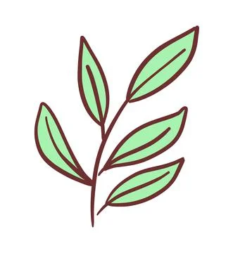 Herb isolated on white background.Doodle vector illustration Stock Illustration