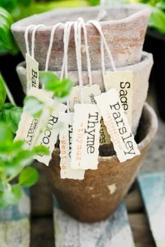 Herb label Stock Photos