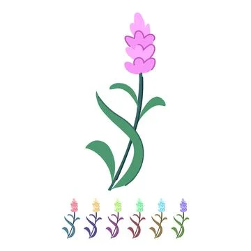 Herb lavender vector cartoon graphic Stock Illustration