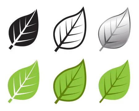 Herb leaf icon in many style, Vector Stock Illustration