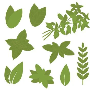 Herb leaf, plant Stock Illustration
