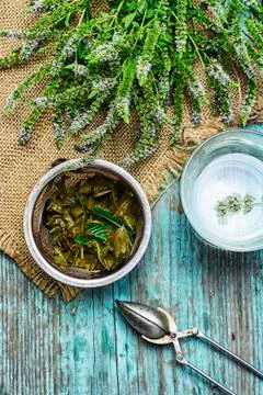 Herb mint tea Stock Photos