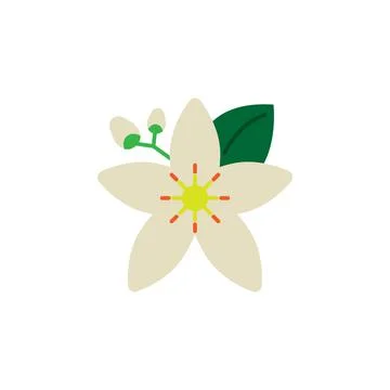 Herb, neroli icon. Element of herb icon for mobile concept and web apps Stock-Illustration