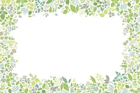 Herb pattern with a frame on all four sides. Stock Illustration