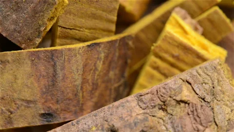 Herb of Phellodendri Chinensis Cortex or Amur Corktree Bark rotating close up Stock Footage 97371122