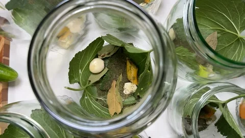 Herb Pickling Jars Stock Footage 313363990