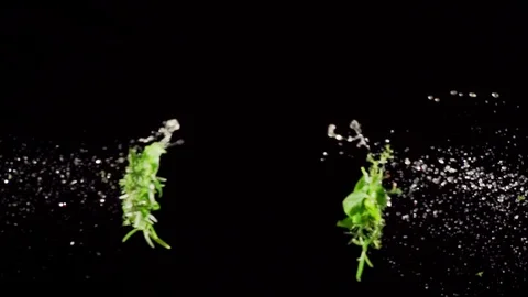 Herb Spice  collide on black background closeup in super slow motion Stock Footage 117211973