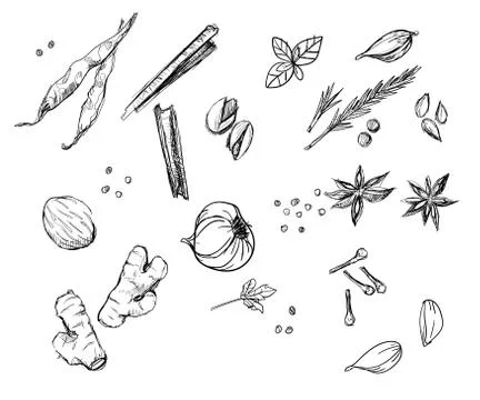Herb spices collection set ginger onion peppers cloves cinnamon hand drawn Иллюстрация