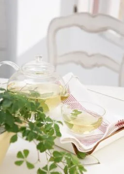 Herb tea Stock Photos