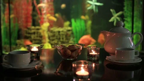 Herb tea poured from a teapot into a cup at the aquarium background Stock Footage 73674122