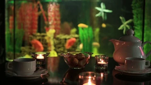Herb tea poured from a teapot into a cup at the aquarium background Stock Footage 75461487