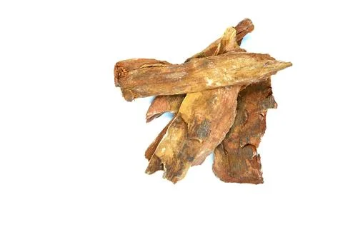 Herbal arjun chhal Stock Photos