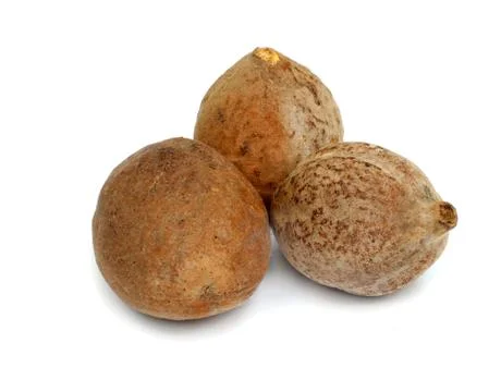 Herbal Bahera fruit Stock Photos