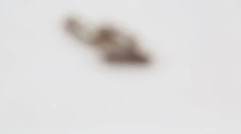 Herbal Based Pill Stock Footage 22565336